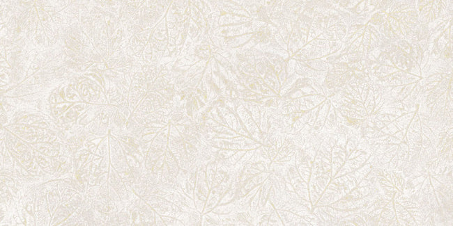 Carrelage Apavisa Fragmenta Beige naturelle 50x100 épaisseur 20 mm