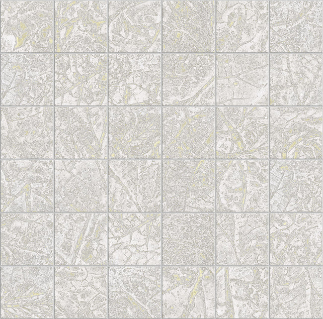 Carrelage Apavisa Fragmenta Grey naturelle Mosaïque 5x5 sur trame 30x30
