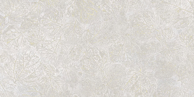 Carrelage Apavisa Fragmenta Grey naturelle 50x100 épaisseur 20 mm