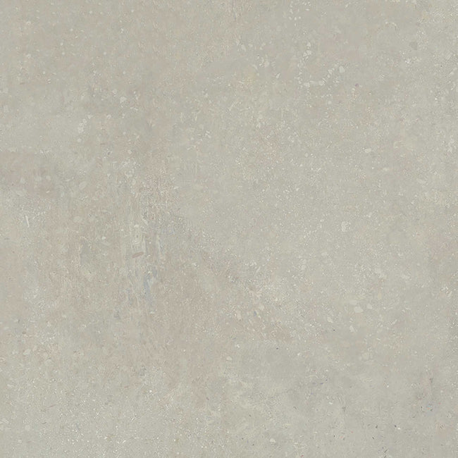 Carrelage Apavisa Instinto Taupe naturelle 120x120