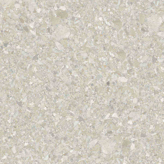 Carrelage Apavisa Momentum Beige naturelle 100x100
