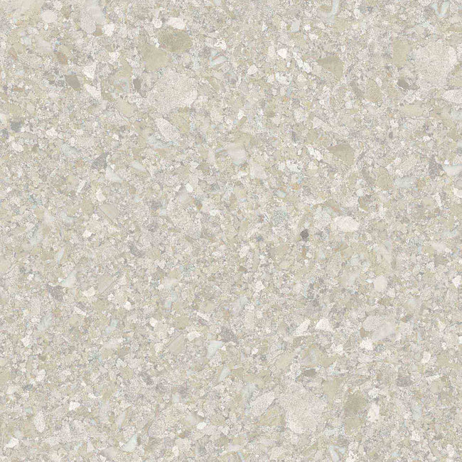 Carrelage Apavisa Momentum Beige naturelle 100x100