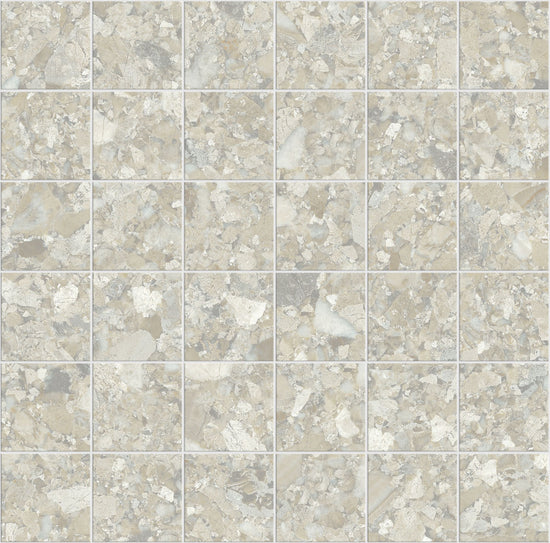 Carrelage Apavisa Momentum Beige naturelle Mosaïque 5x5 sur trame 30x30