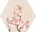Carrelage Apavisa Mood Ivory décor Hexagone 25x30