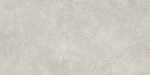 Carrelage Apavisa Muro Grey naturelle 50x100