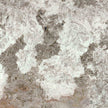 Carrelage Apavisa Patagonia Grey polie 120x120