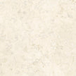 Carrelage Apavisa Perlino Marfil naturelle 60x60