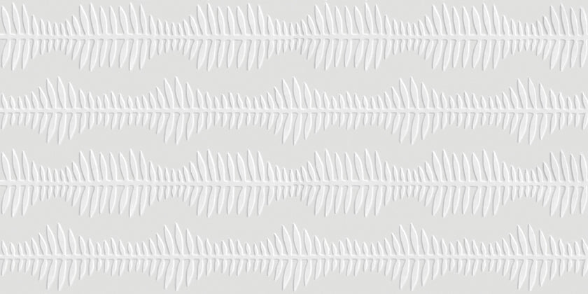 Carrelage Apavisa Tinte White Stelo naturelle 50x100