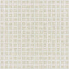 Carrelage Apavisa Toko Beige naturelle 60x60