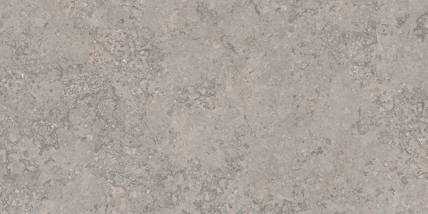 Carrelage Apavisa Tuscany Graphite naturelle 50x100