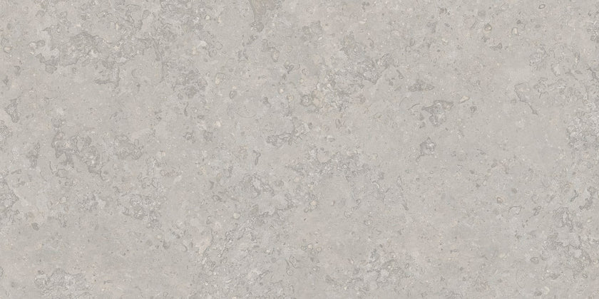 Carrelage Apavisa Tuscany Grey naturelle 50x100