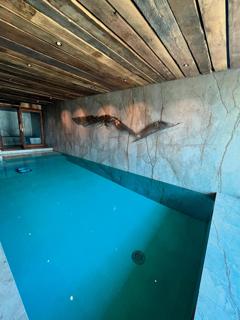 Ambiance carrelage Apavisa Wild Forest