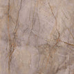 Carrelage Apavisa Wild Forest Grey naturelle 120x120