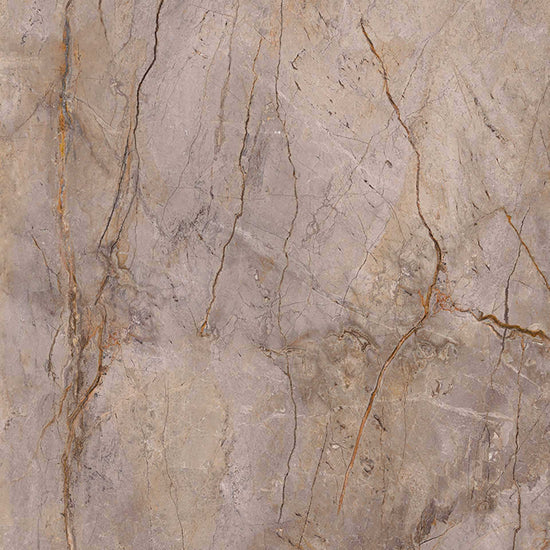 Carrelage Apavisa Wild Forest Grey naturelle 120x120