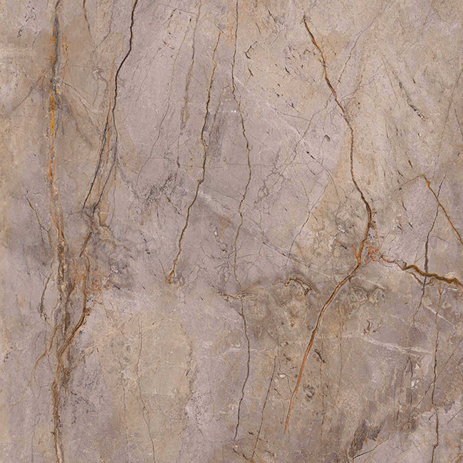 Carrelage Apavisa Wild Forest Grey naturelle 120x120