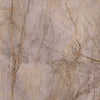 Carrelage Apavisa Wild Forest Grey naturelle 120x120
