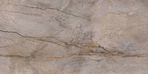 Carrelage Apavisa Wild Forest Grey polie 60x120