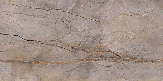 Carrelage Apavisa Wild Forest Grey polie 60x120