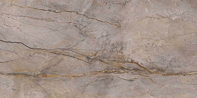 Carrelage Apavisa Wild Forest Grey polie 60x120