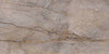 Carrelage Apavisa Wild Forest Grey polie 60x120