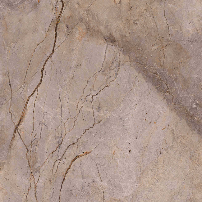 Carrelage Apavisa Wild Forest Grey polie 120x120