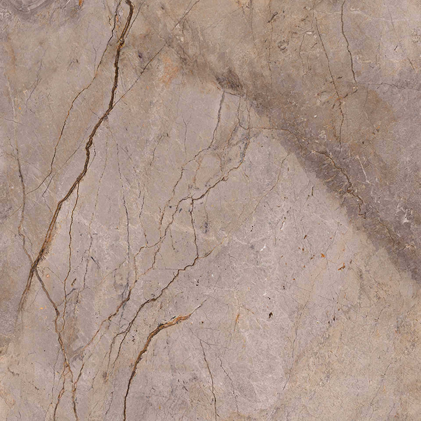 Carrelage Apavisa Wild Forest Grey polie 120x120