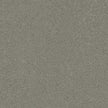 ARCANA Mousse Ombra — carrelage effet béton