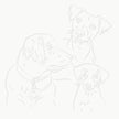 BST|canis-22-5x22-5-1.jpg