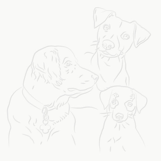 BST|canis-22-5x22-5-1.jpg