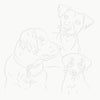 BST|canis-22-5x22-5-1.jpg
