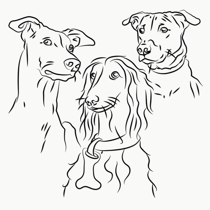 BST|canis-22-5x22-5-2.jpg