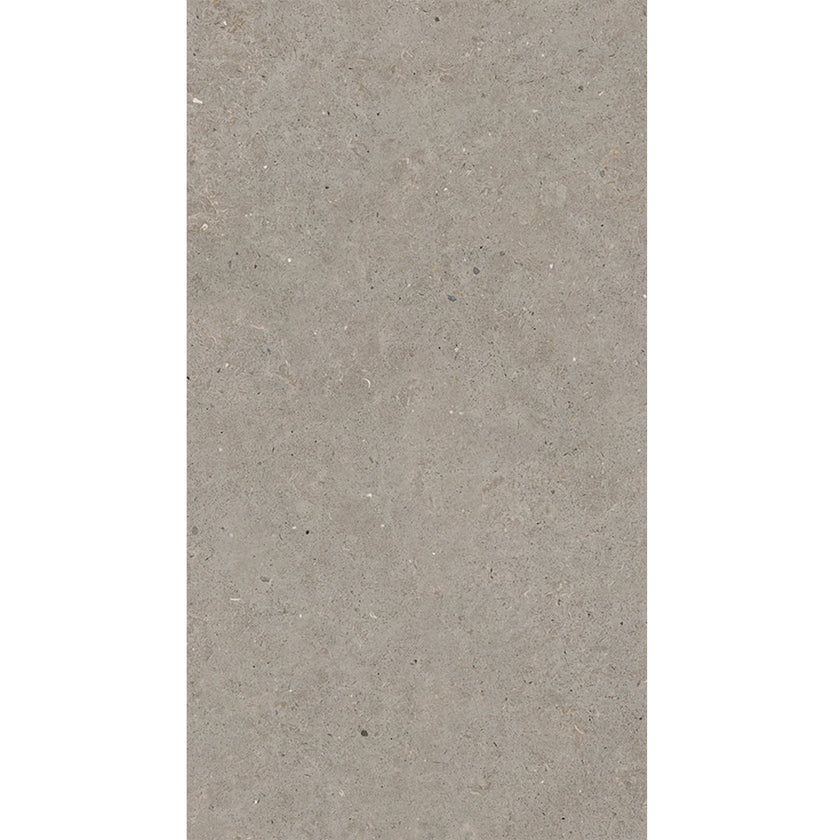 Carrelage effet pierre Durstone Somport Gris 30x60 cm