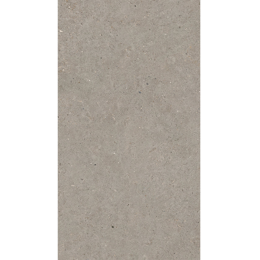 Carrelage effet pierre Durstone Somport Gris 60x120 cm