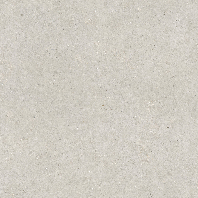 Carrelage effet pierre Durstone Somport Gris Clair 120x120 cm