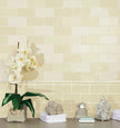 Carrelage Cevica Antic Mate — ambiance 2
