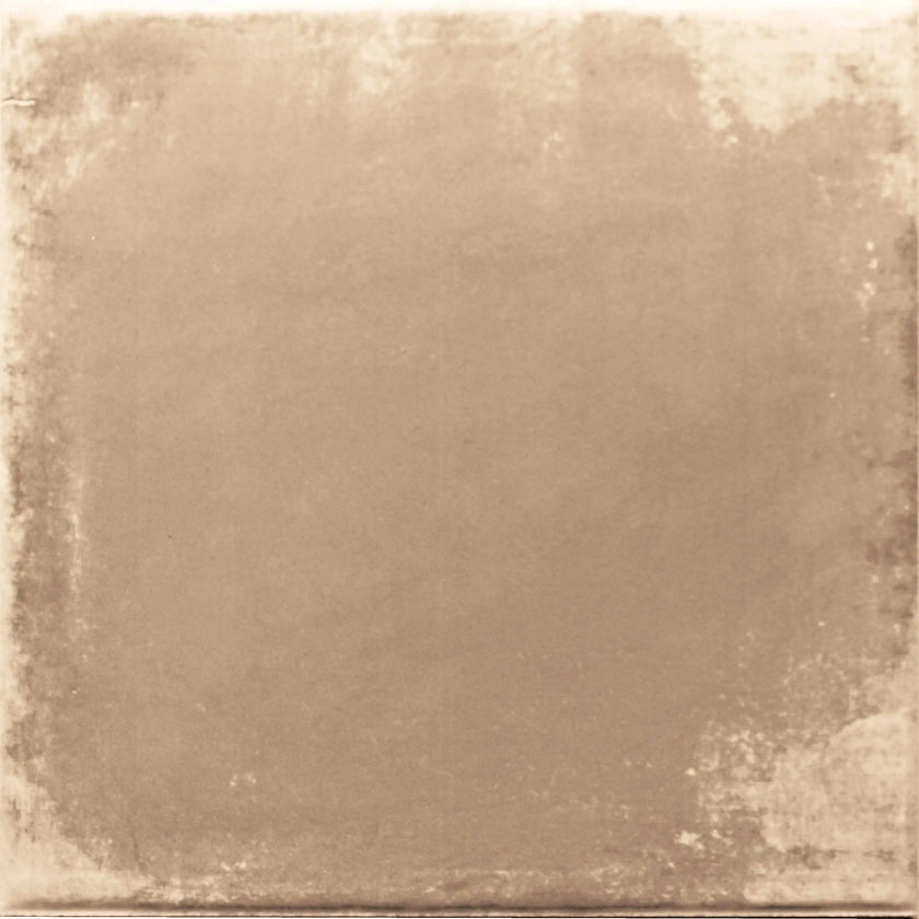 Carrelage Cevica Vintage 20x20 Porcelanico Nut