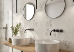 BST|det-canis-22-5x22-5.jpg