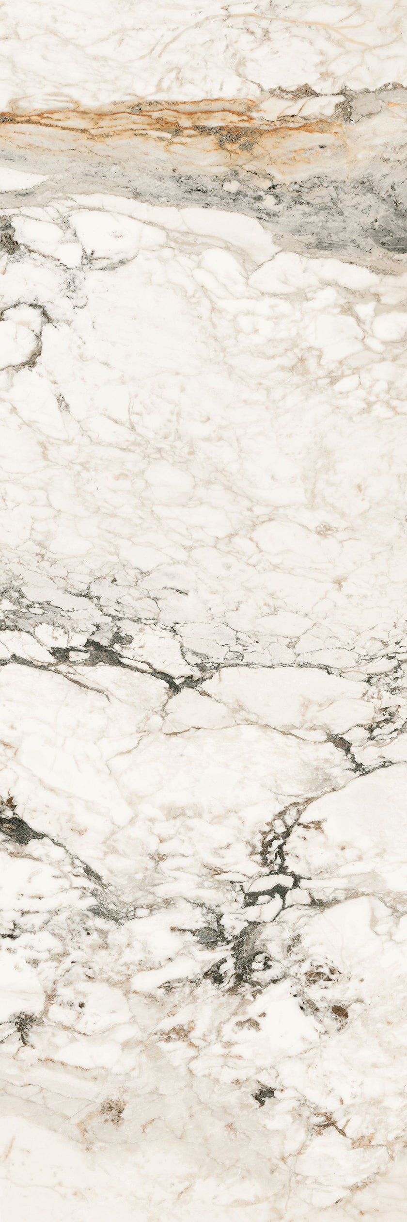 MARGRES LINEA ENDLESS BRECCIA CAPRAIA 50x100 SMOOTH