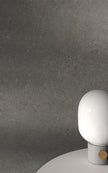 LIVING CERAMICS BERA&BEREN BEREN DARK GREY 120x120 NATURAL