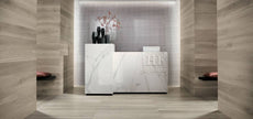 Carrelage FAP Ceramiche Fapnest Silver Chevron