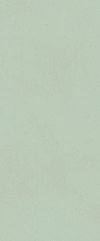 Carrelage FAP Ceramiche True Color Matcha