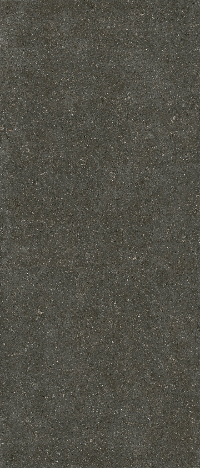 Carrelage Florim Rinascenza Arena Platino