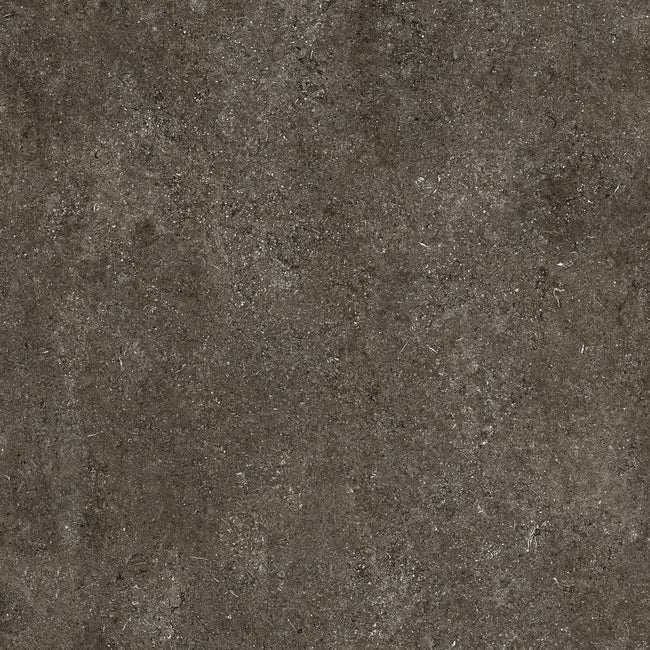 Carrelage Florim Sensi Brown Fossil