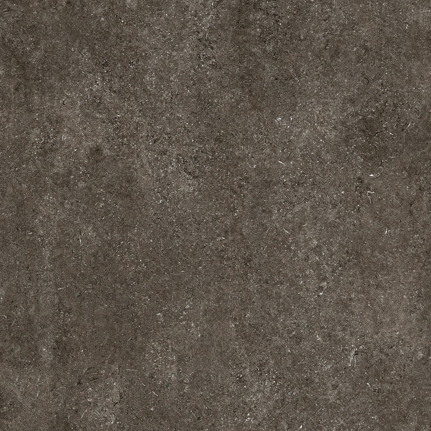 Carrelage Florim Sensi Brown Fossil