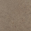 BST|galdar-avellana-30x30-1.jpg