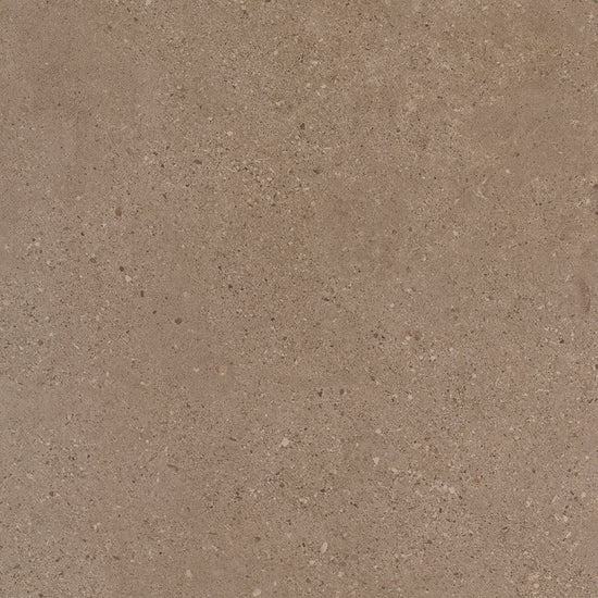 BST|galdar-avellana-60x60-1.jpg