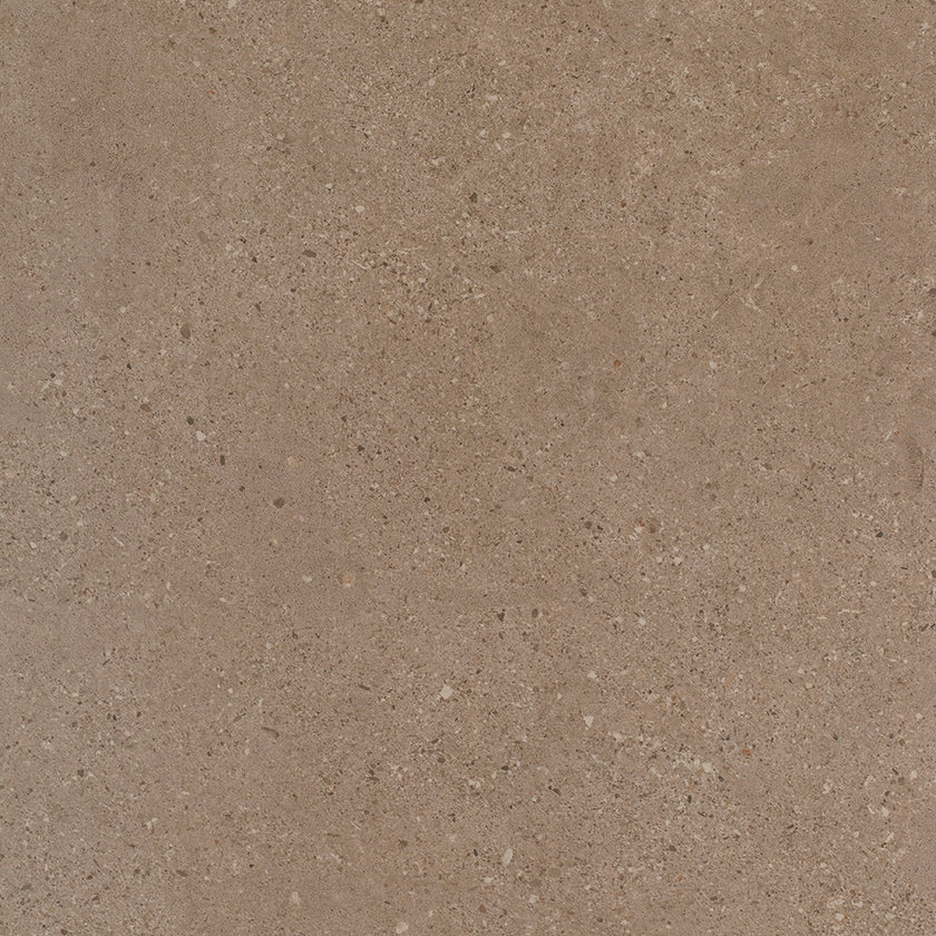 BST|galdar-avellana-60x60-1.jpg