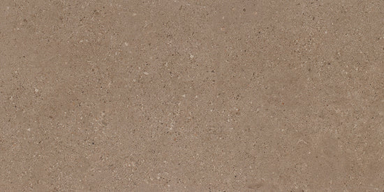 BST|galdar-avellana.jpg