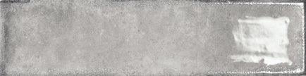 BST|iris-75x30-gris.jpg
