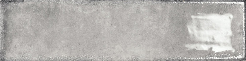 BST|iris-75x30-gris.jpg